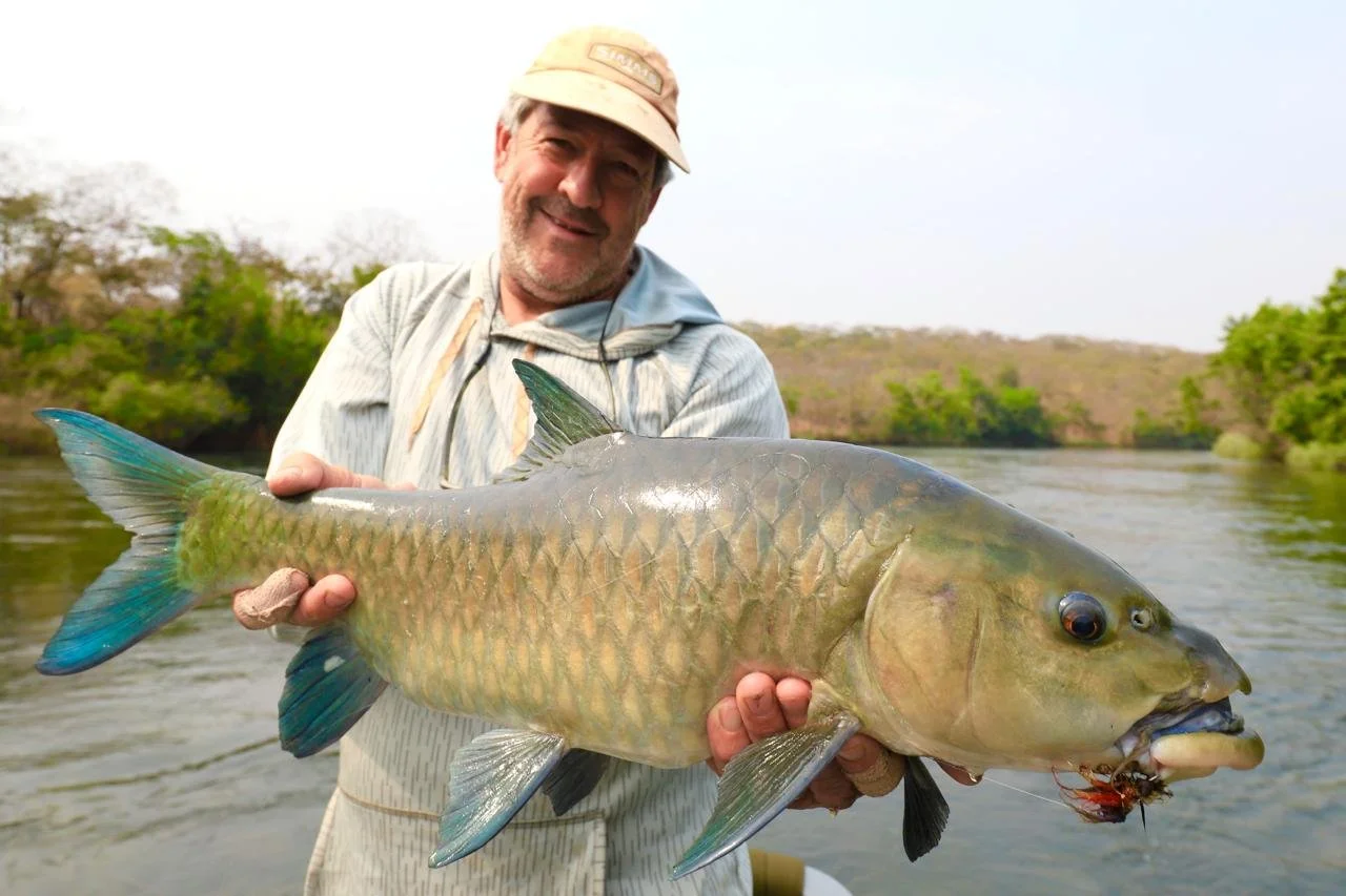 A man holding a large fish with a river and trees in the background.