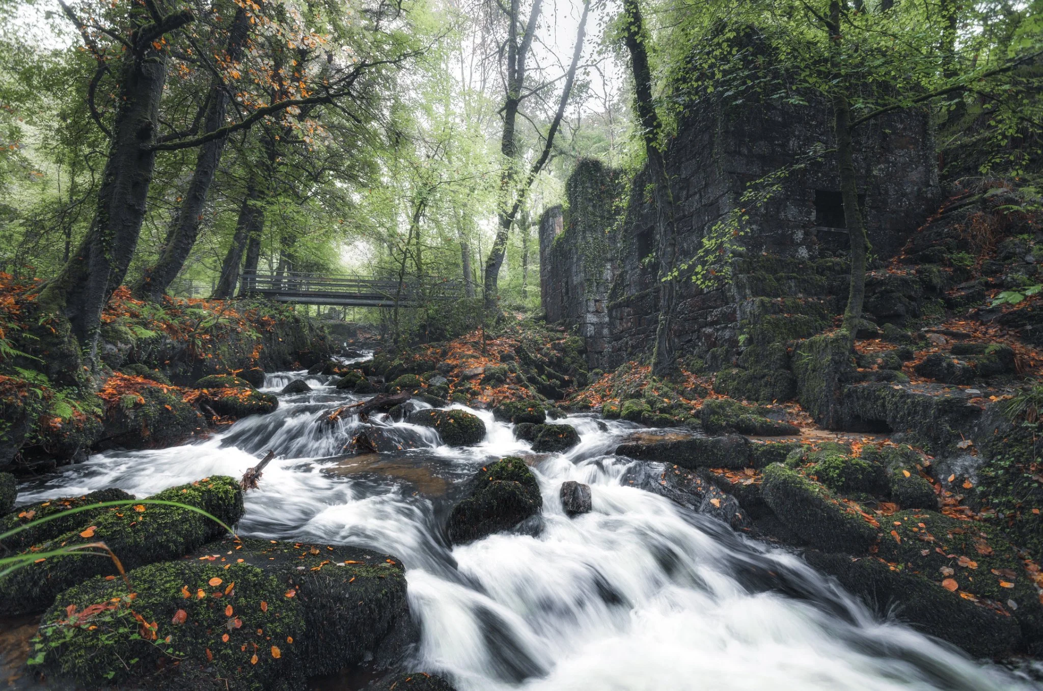 A forest scene with a flowing stream surrounded by moss-covered rocks, trees with green leaves, and a stone structure on the right side of the image.