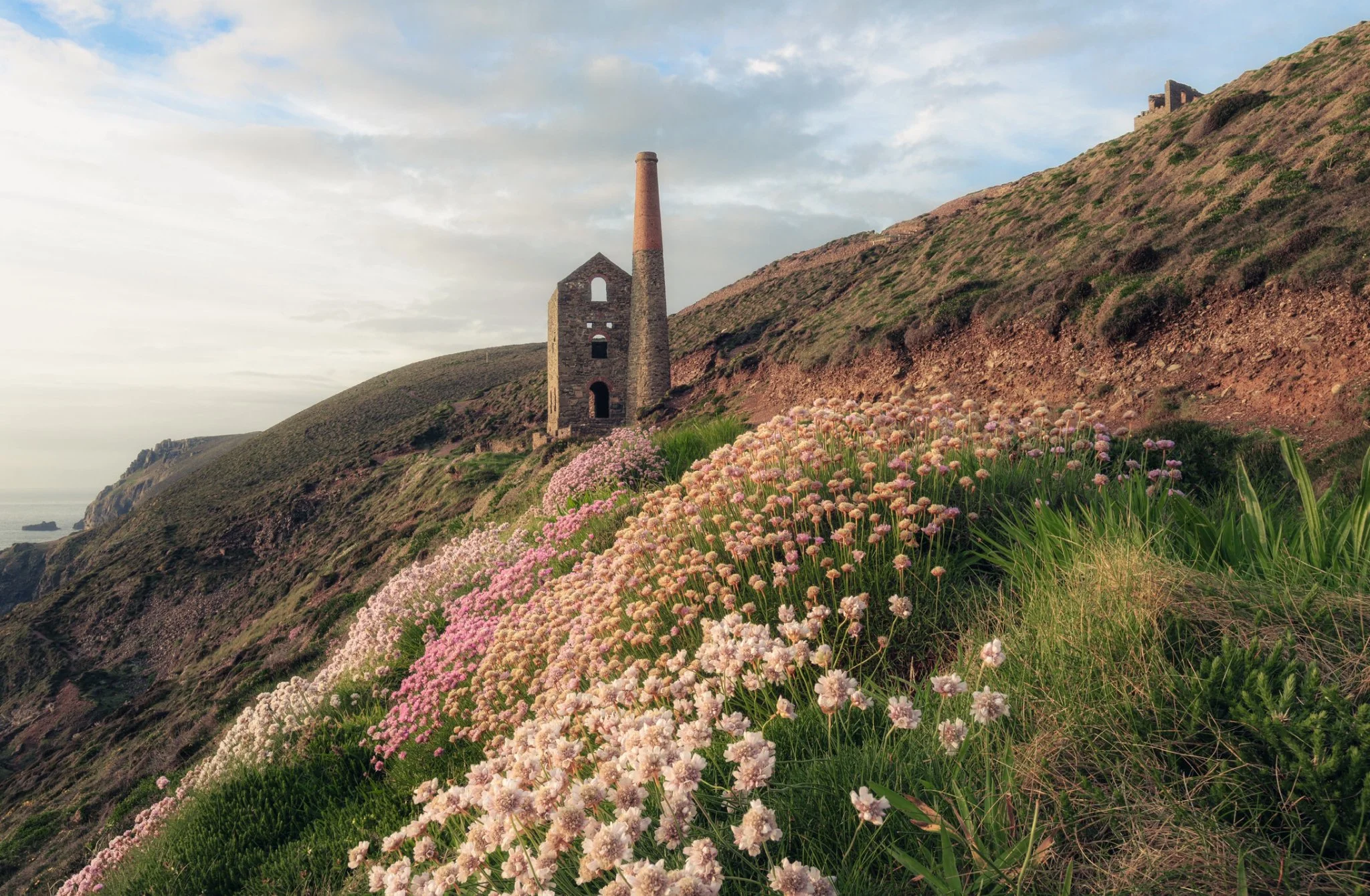 Flowers blooming on the grassy hillside with an abandoned stone building and chimney in the background, overlooking the ocean at sunset.
