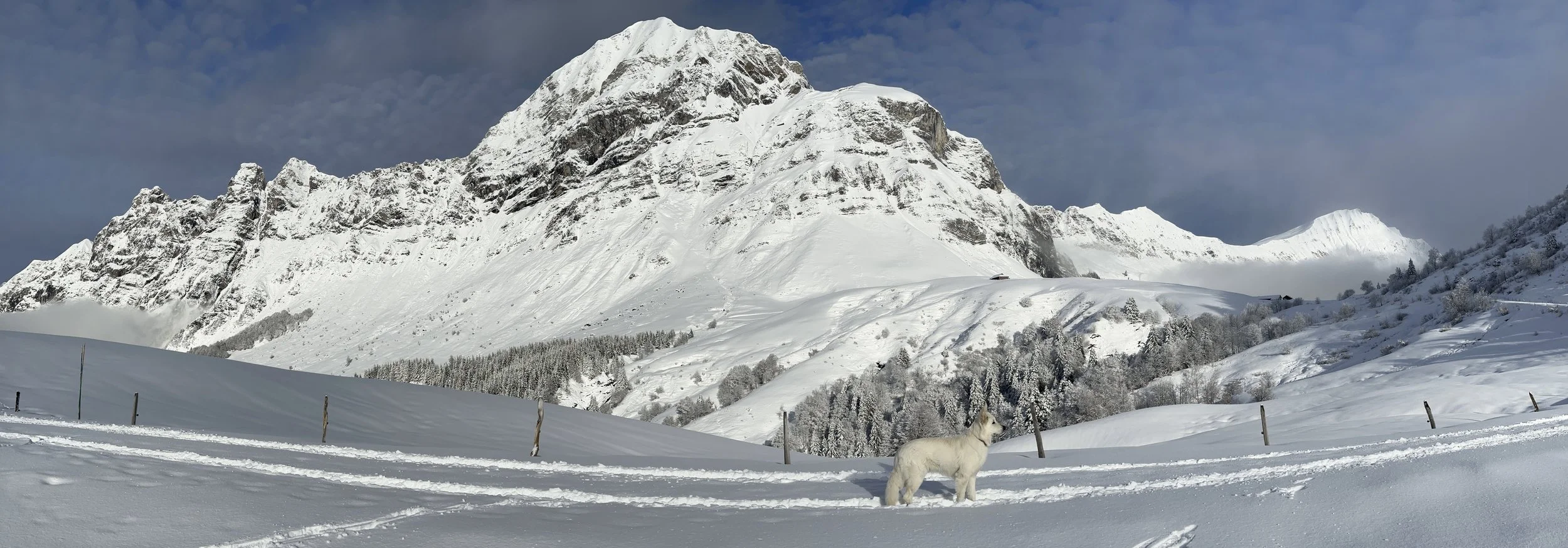 NEIGE CHARVIN ARAVIS REFUGE ARPETTAZ.JPG
