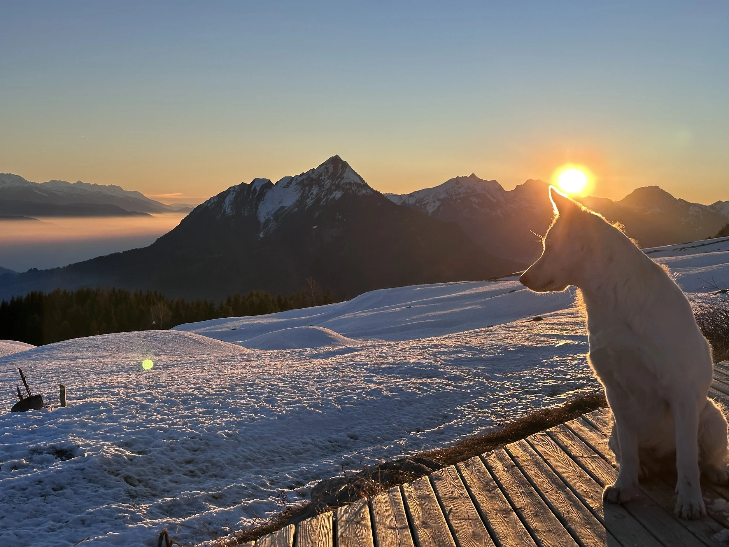 REFUGE ARPETTAZ TERRASSE.JPG