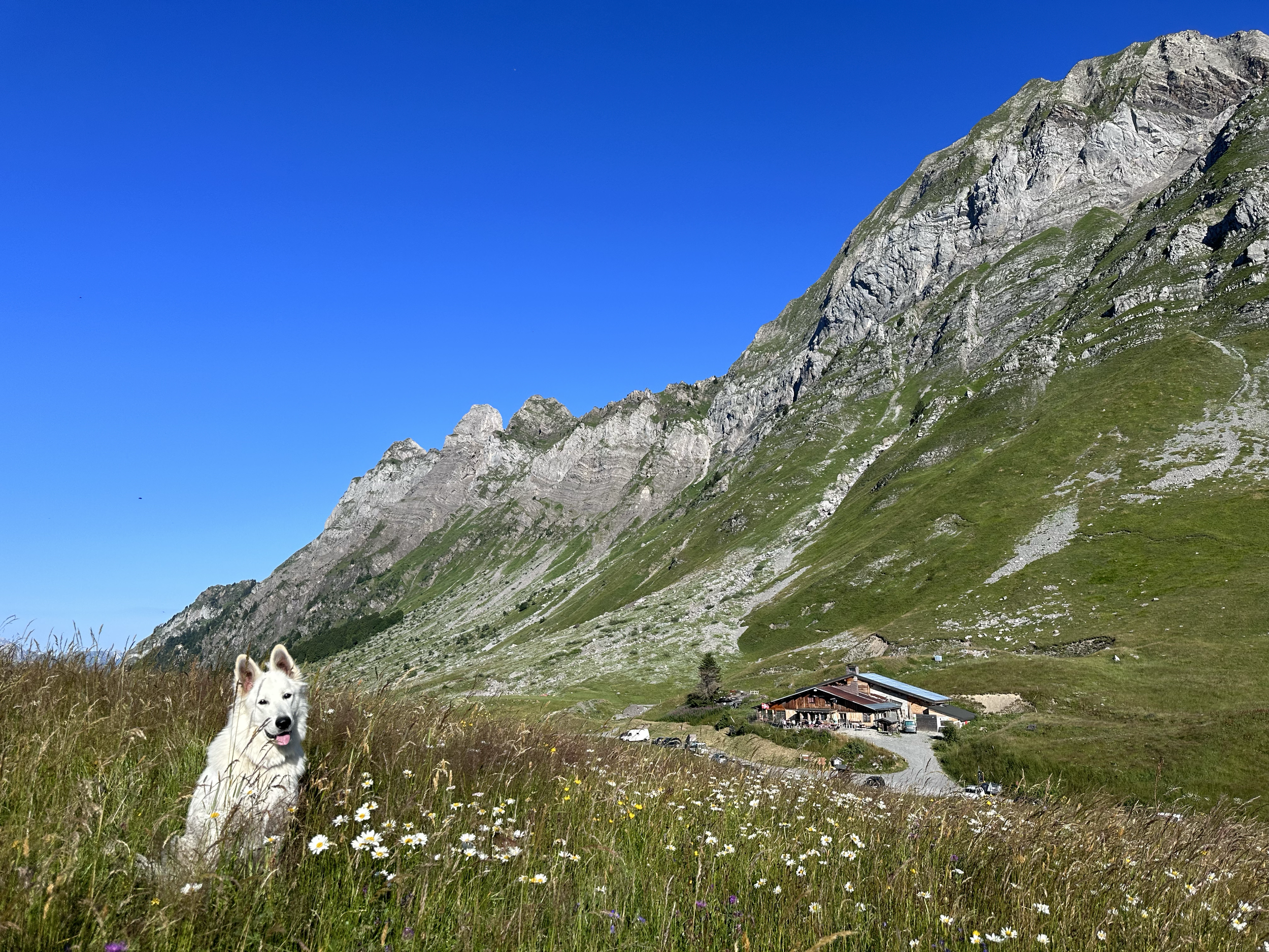 REFUGE ARPETTAZ CHALET ETE ROUTE.png