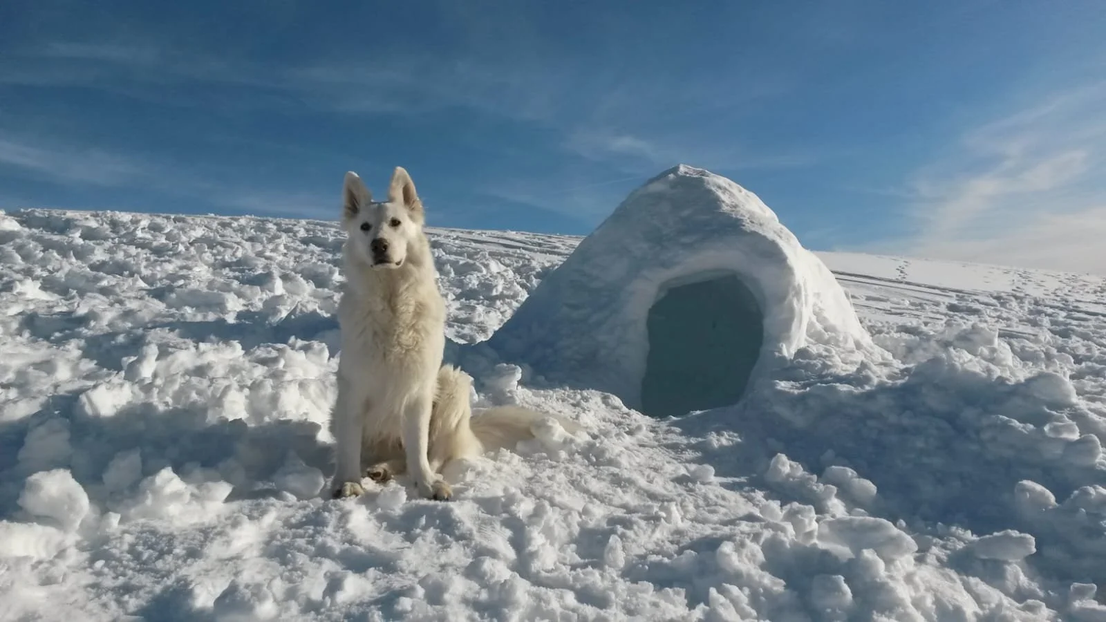 REFUGE ARPETTAZ IGLOO NEIGE HIVER .jpg