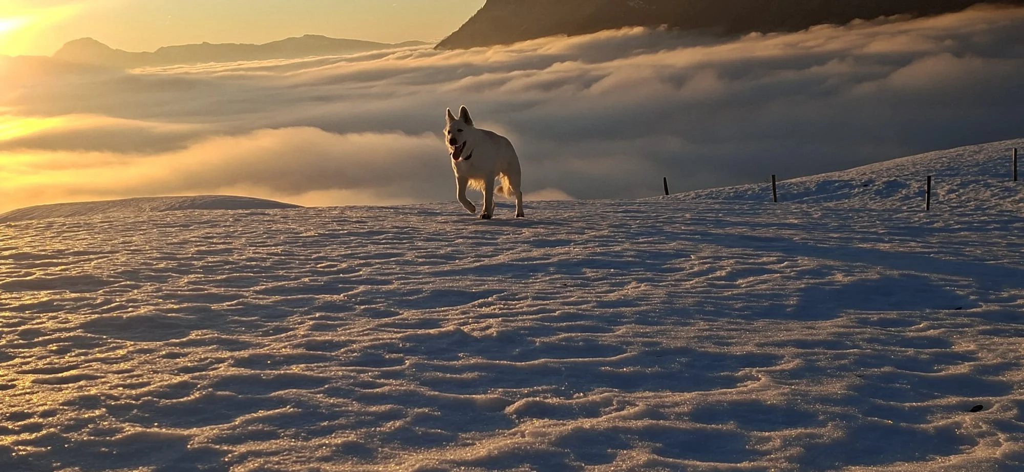 REFUGE ARPETTAZ BERGER BLANC SUISSE NEIGE.jpg