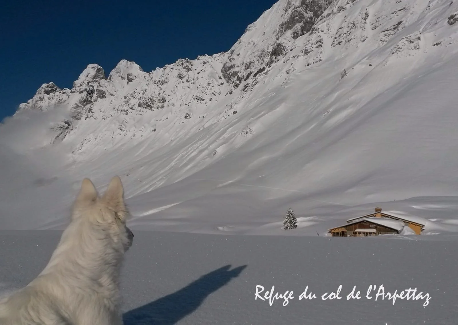 REFUGE ARPETTAZ BERGER BLANC SUISSE SOLEIL.jpg