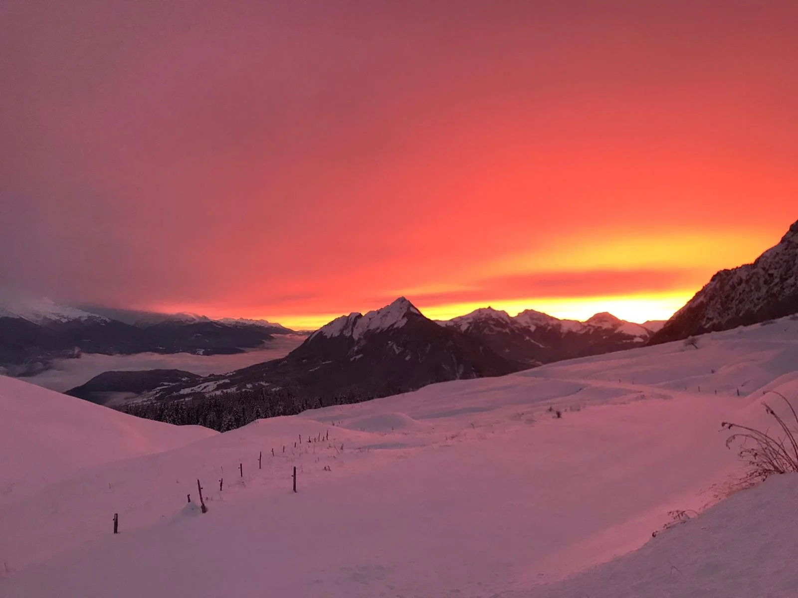 REFUGE ARPETTAZ SOLEIL ROSE.jpg