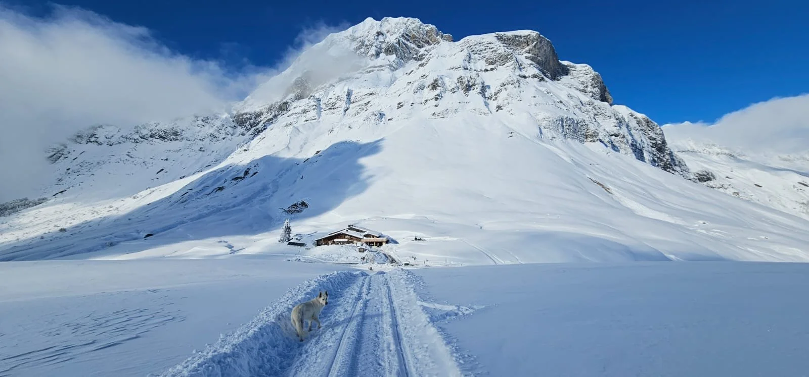 REFUGE ARPETTAZ SOLEIL BLANC NEIGE.jpg