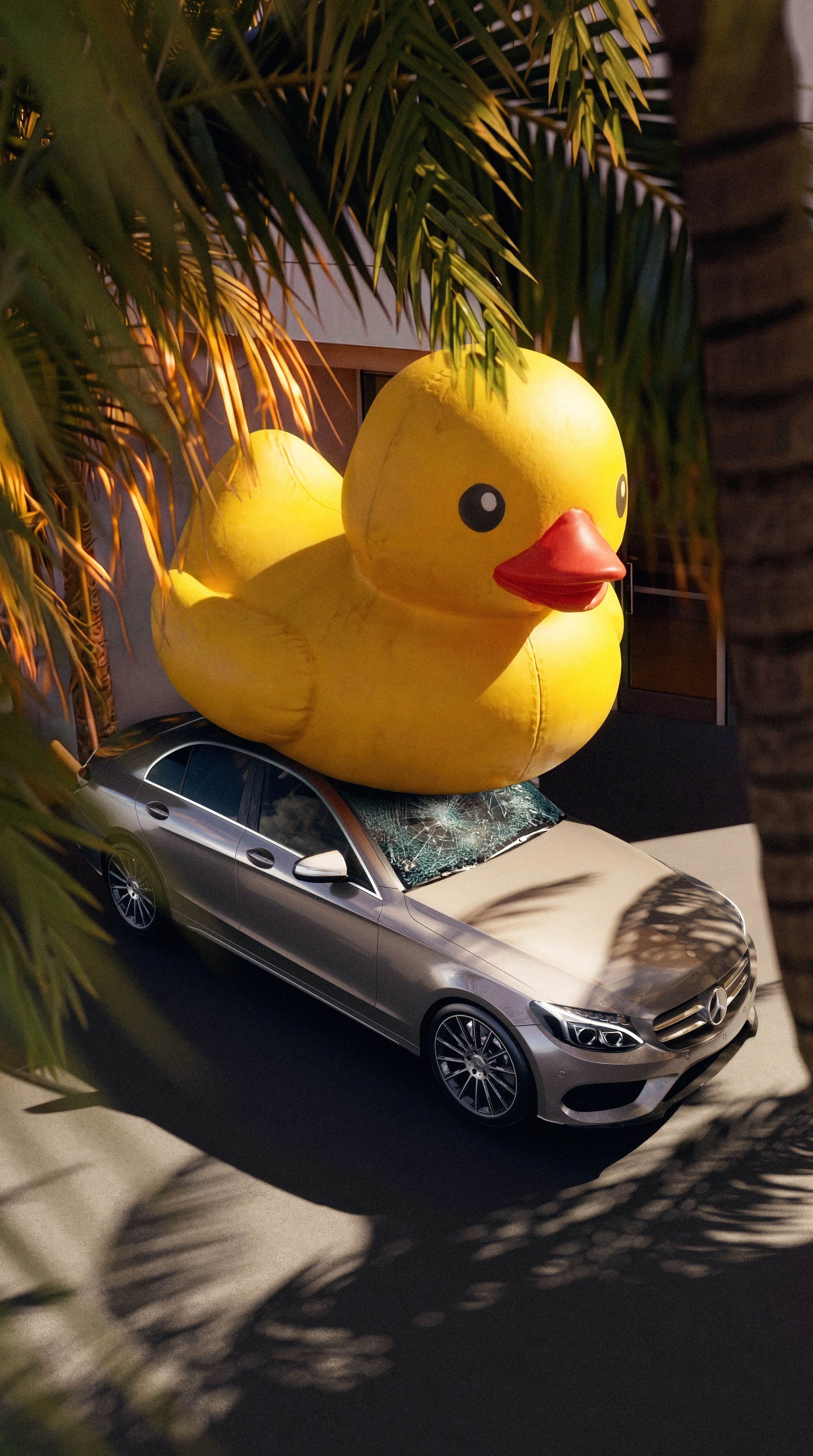 MB_AS_07_Duck_03_sRGB.jpg