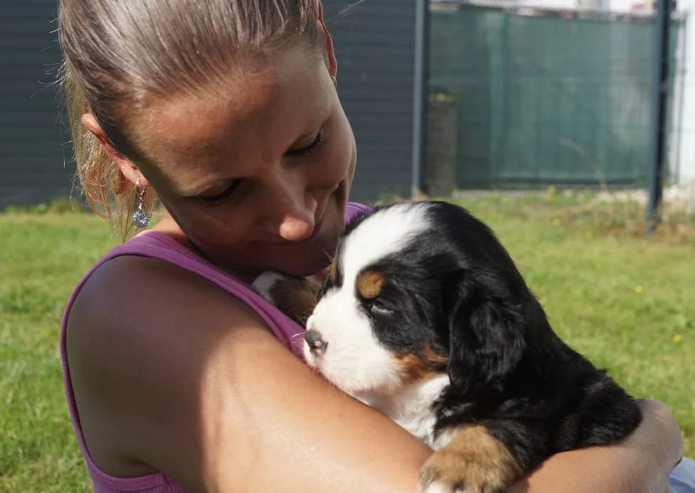 WhatsApp Image 2021-09-13 at 19.15.31.jpeg