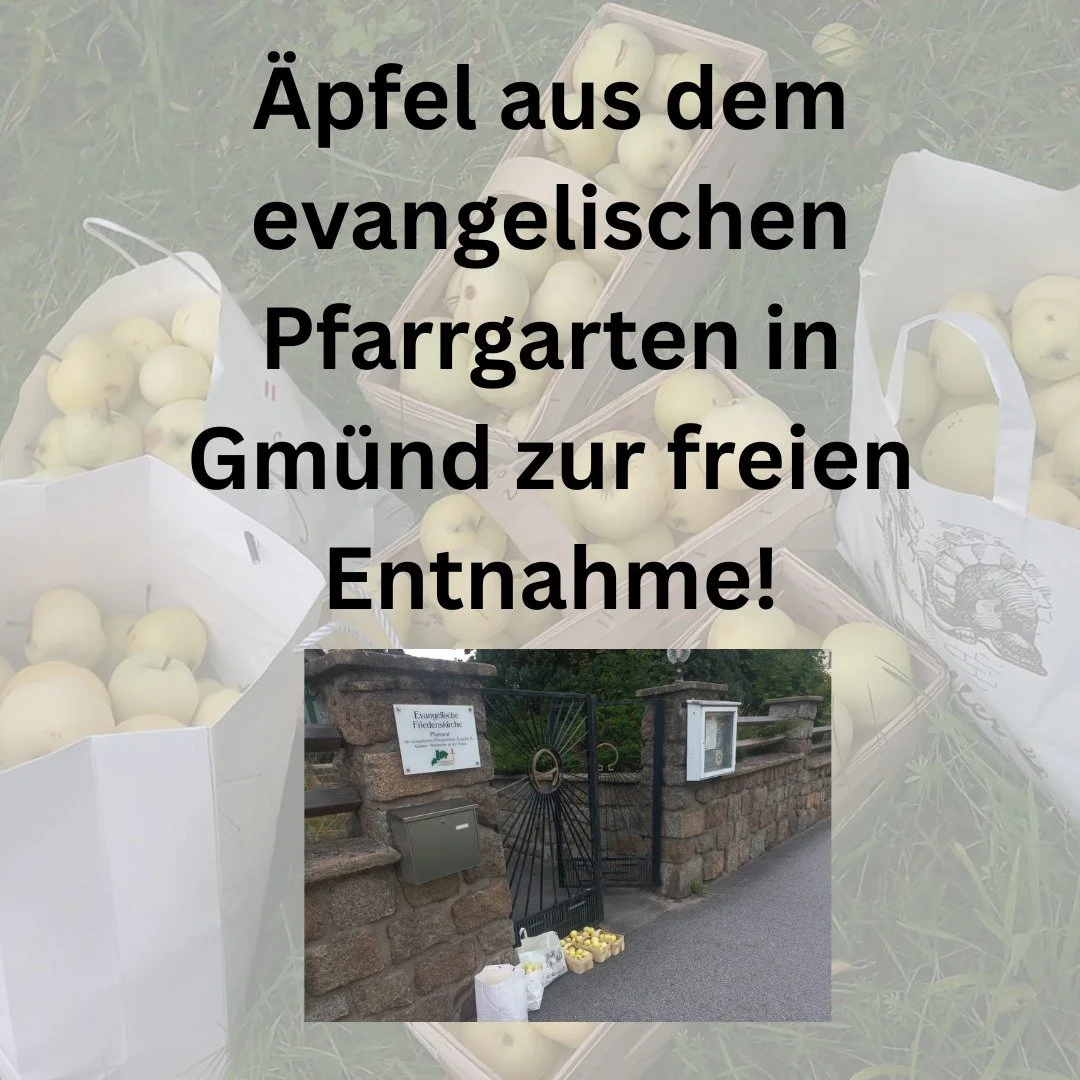 #evangelischimwaldviertel

 &Auml;pfel in der Bahnhofstra&szlig;e warten auf dich! Wei&szlig;er Klarapfel kann nicht lange warten!