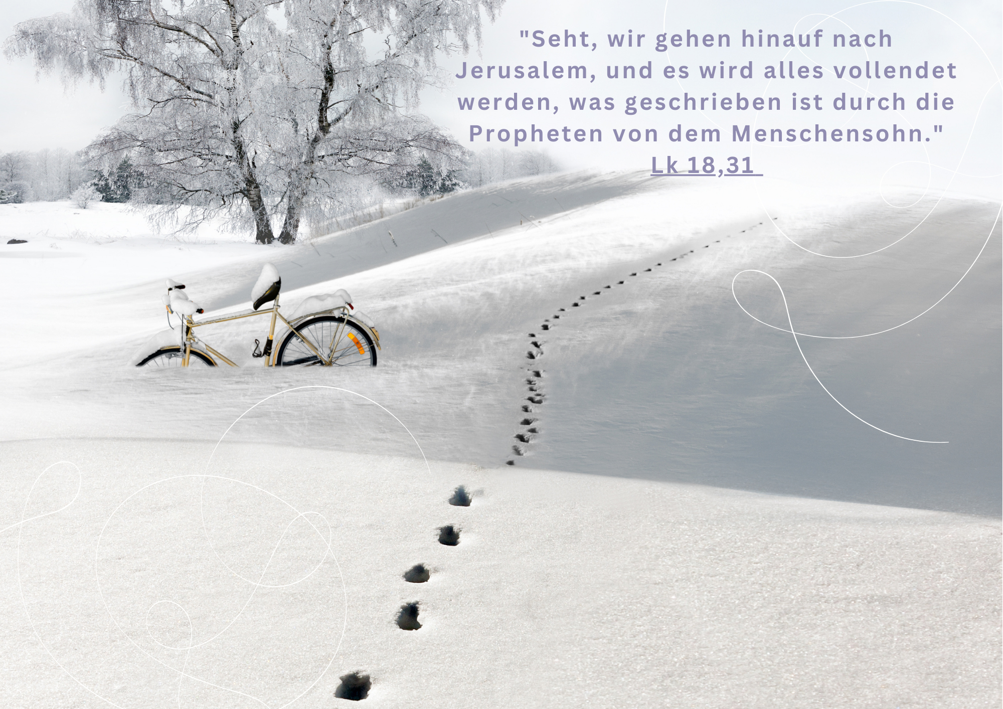 Predigt am 15.2.2026