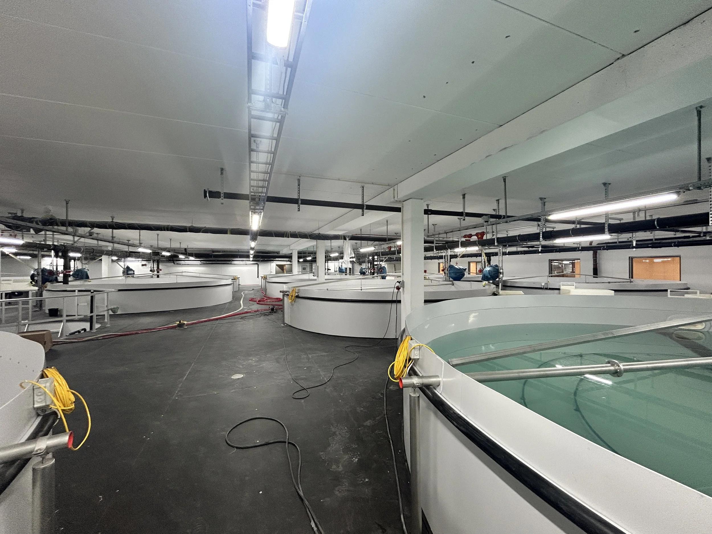 Prosjekt HS Kilvik Startfôring