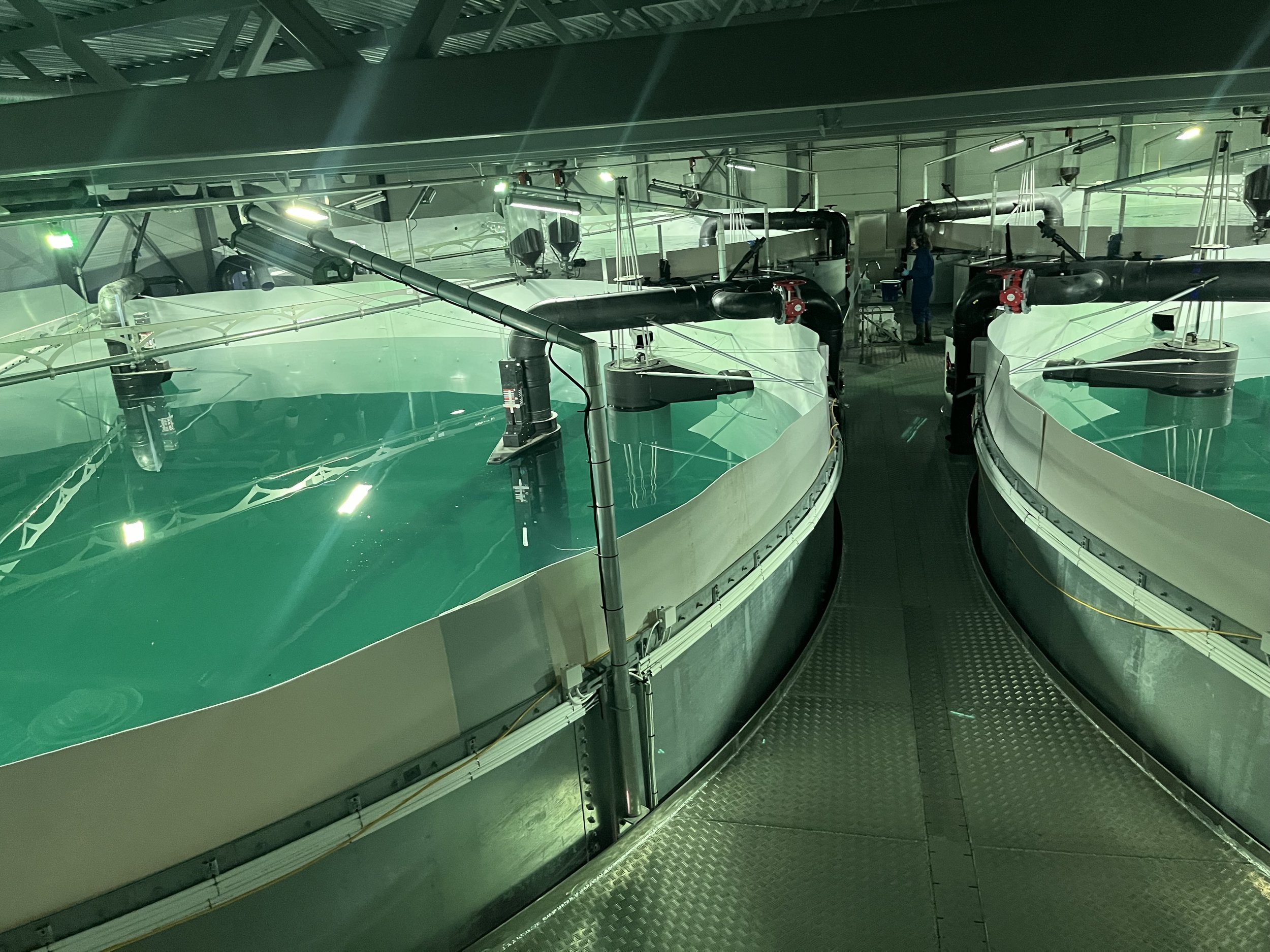 IMG_9080.jpeg