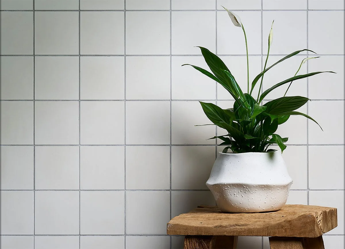 White ceramic tiles with a potted plant highlighting clean, sustainable material aesthetics in interior design