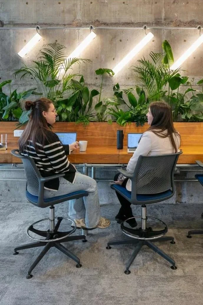Two women sitting at a wooden table with laptops and cups, facing each other, in a modern office with green plants on the wall and bright overhead lighting.