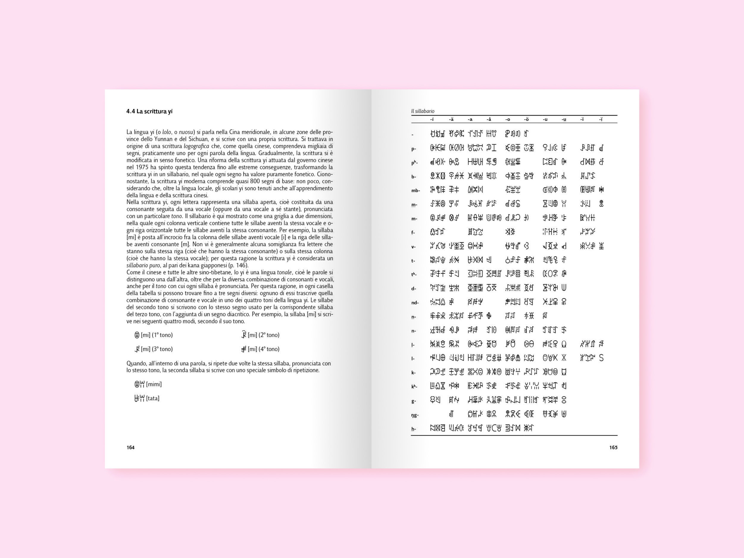 14-Non legitur-spread-4.jpg