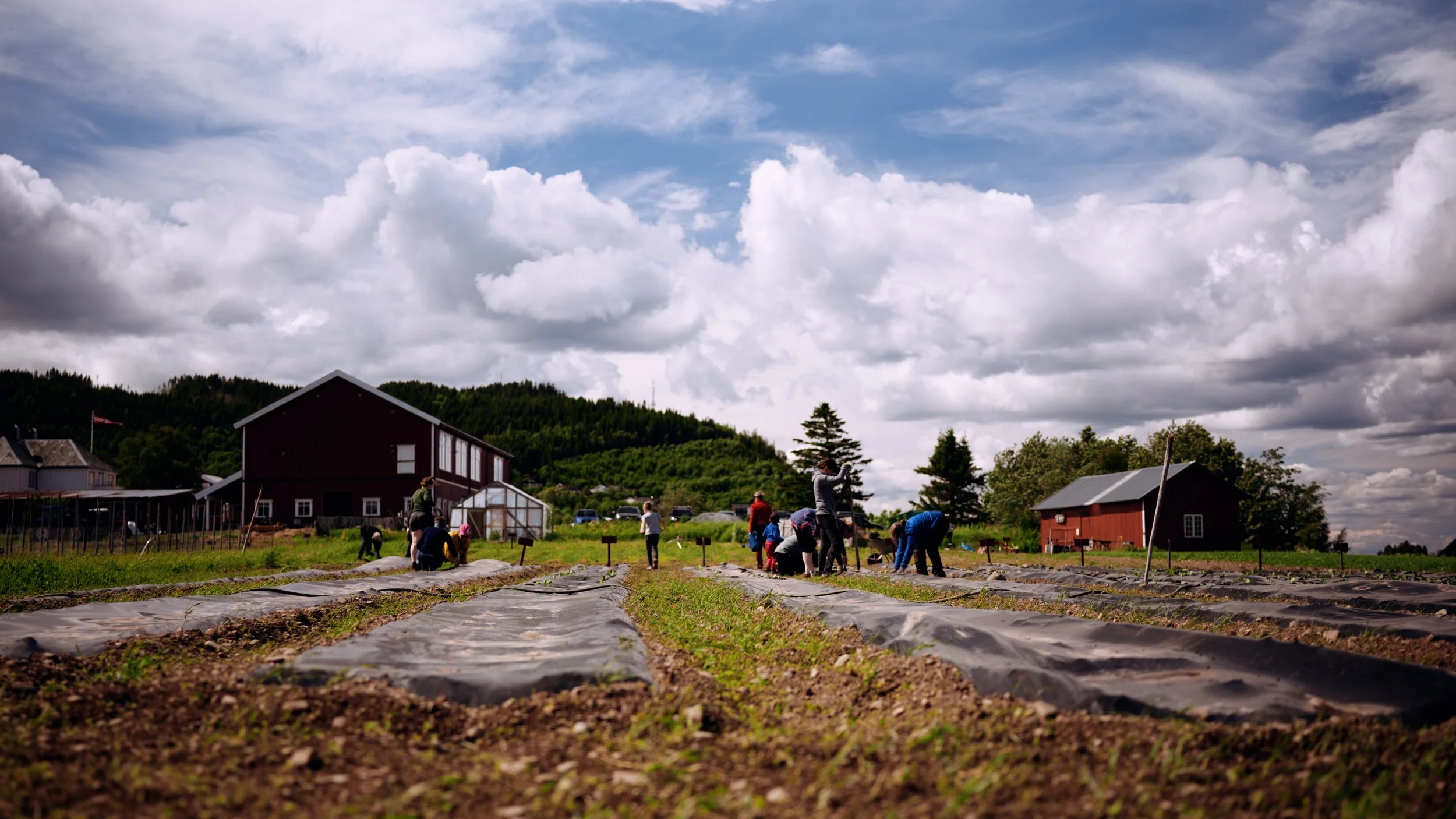 Andelsgård