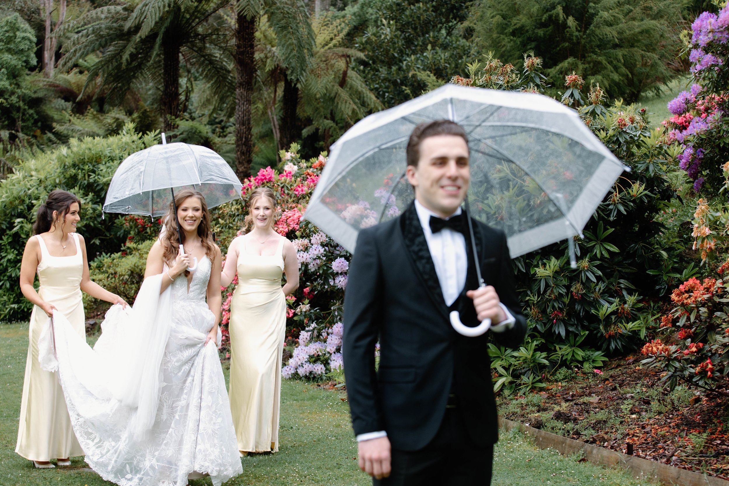 A groom in a black tuxedo walking in front of three bridesmaids and a bride, holding clear umbrellas, in a lush garden with colorful flowering bushes.