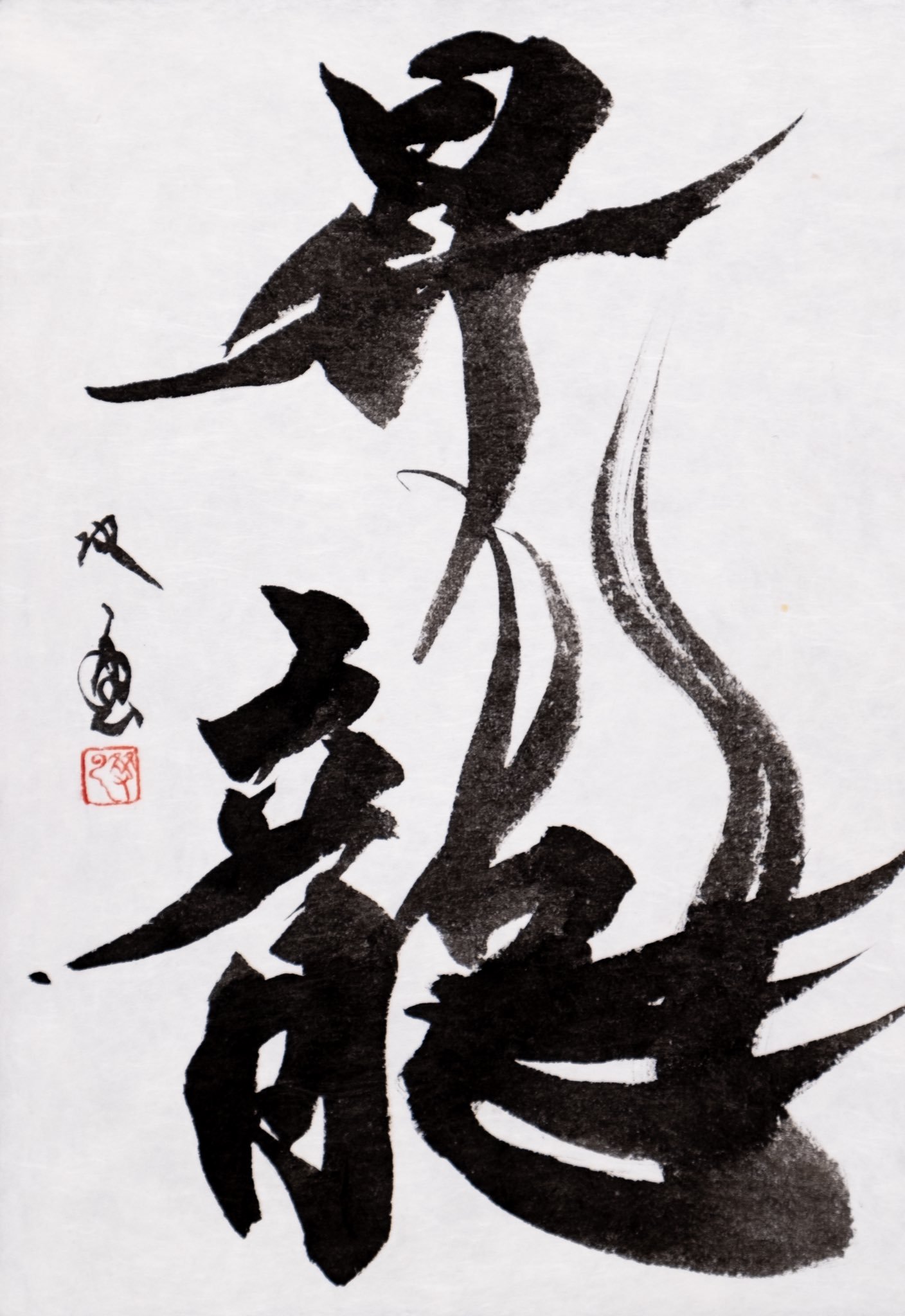 魅力の 武田双雲 書
