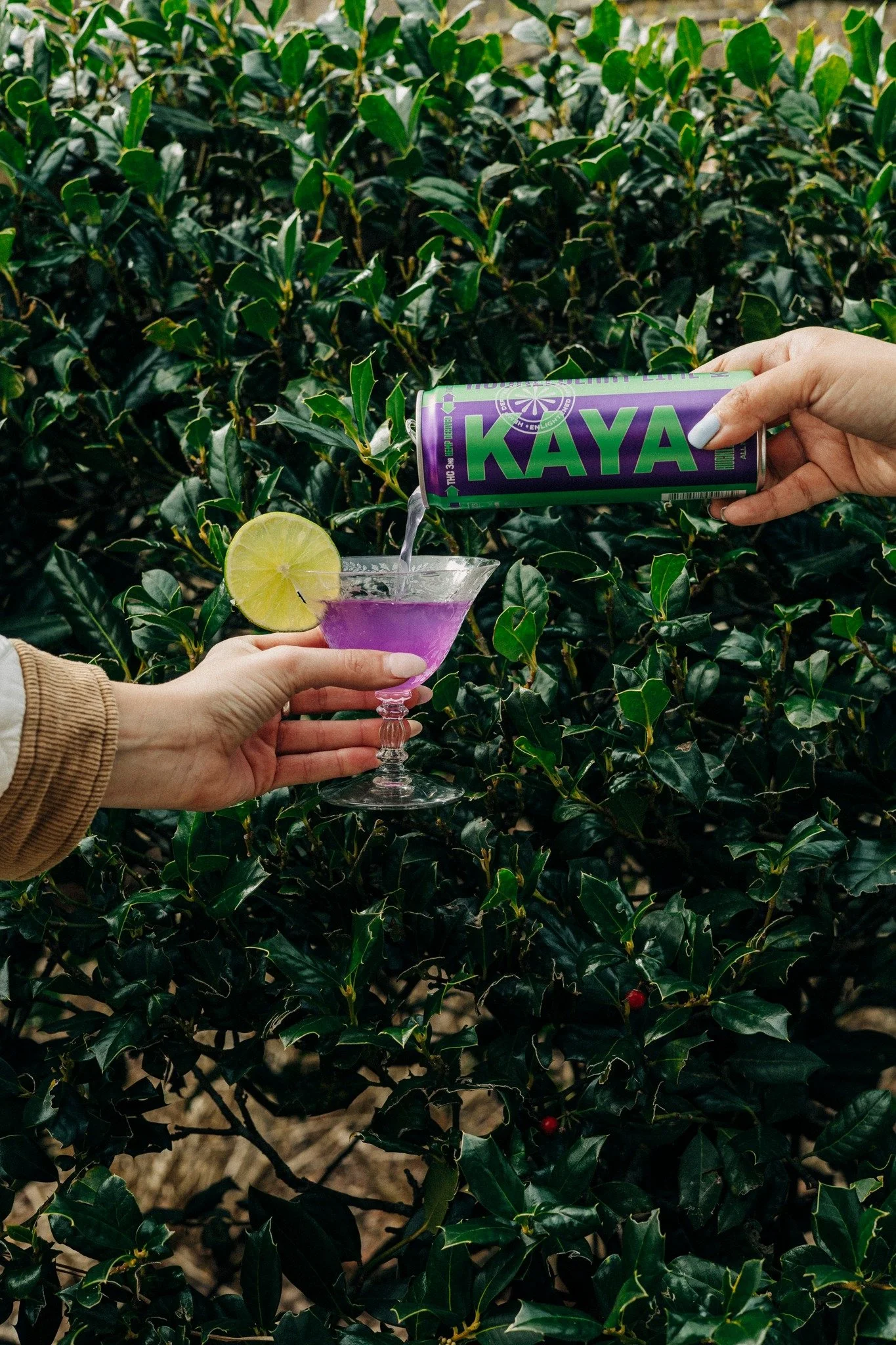 Pretty please&hellip; with a KAYA and a cherry (or lime) on top 🍒🍋&zwj;🟩✨ #KAYA #huckleberrylime