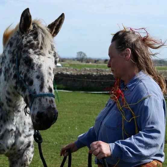 Horse Medicine