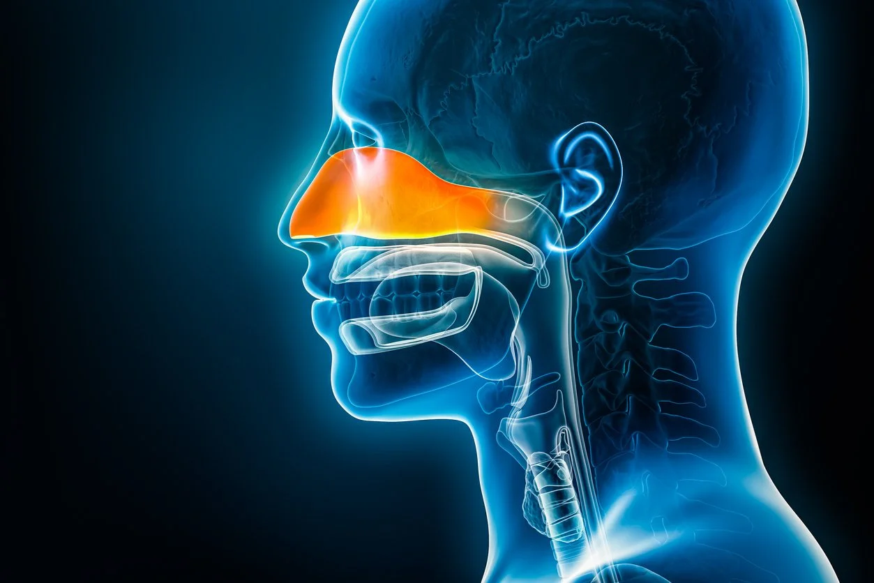 NOSE BREATHING & WHY IT MATTERS — Seven Directions®Breathwork