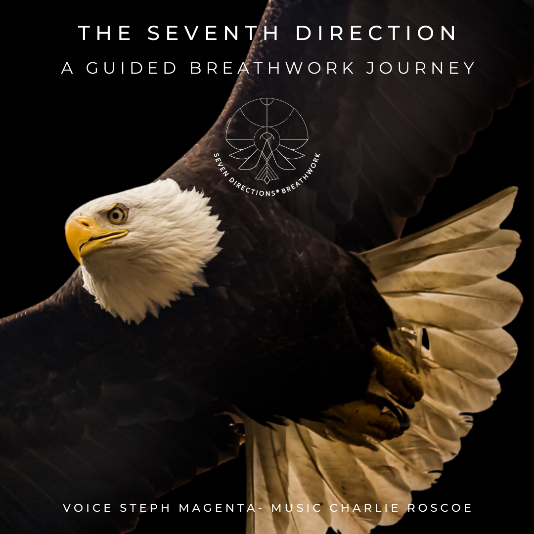 The Seventh Direction: A 40 minute guided Breathwork Journey
