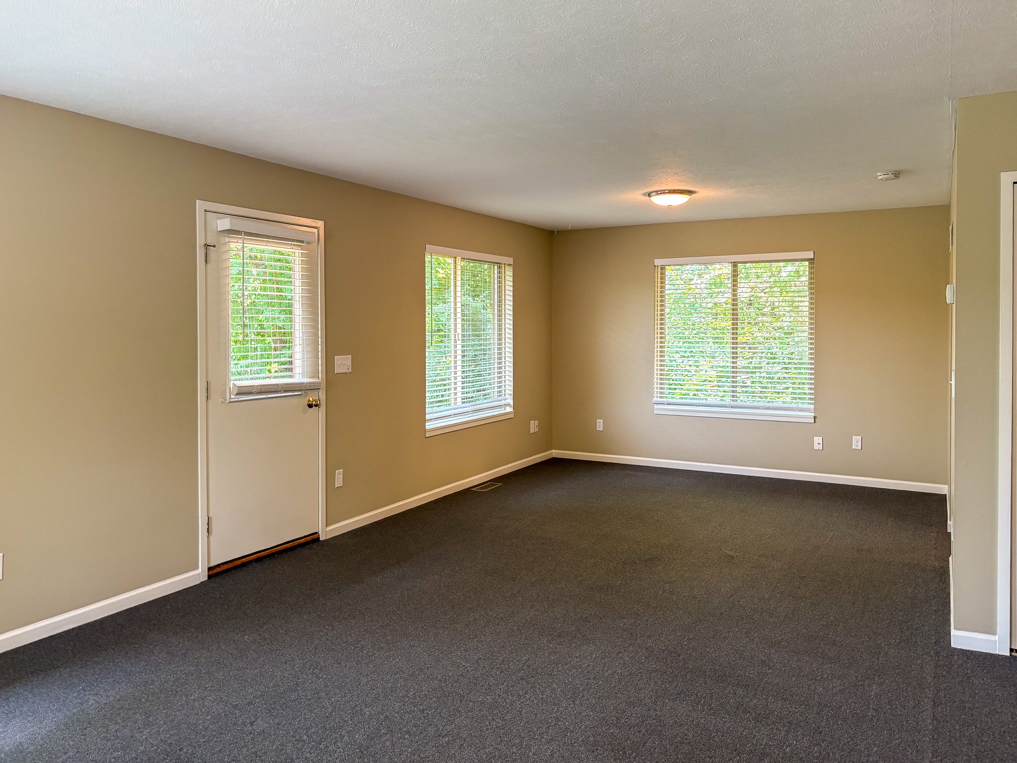 living-room-carpet-patio-door.jpg