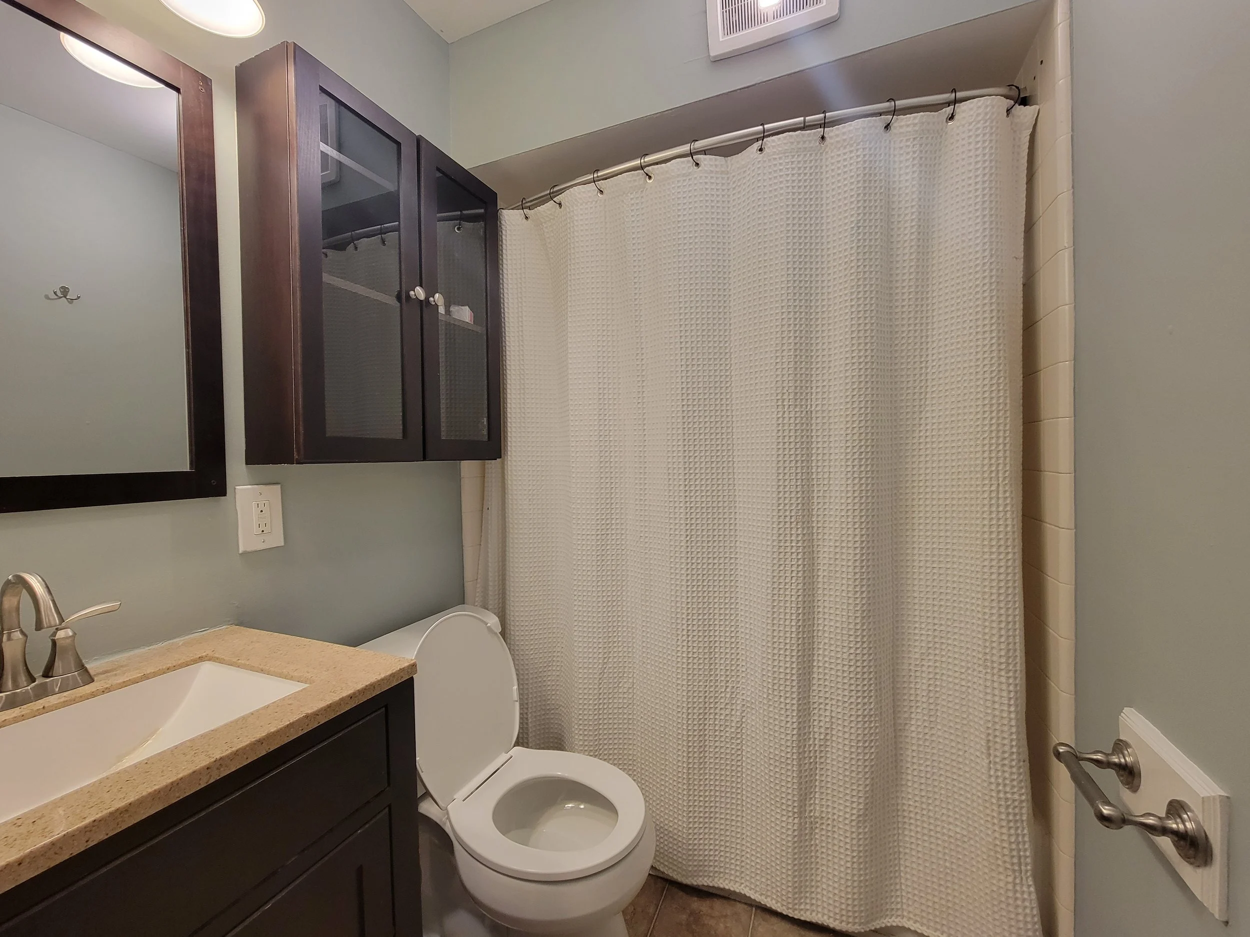 Bathroom with toilet, vanity, sink, mirror, and shower with white curtain in Ann Arbor house.