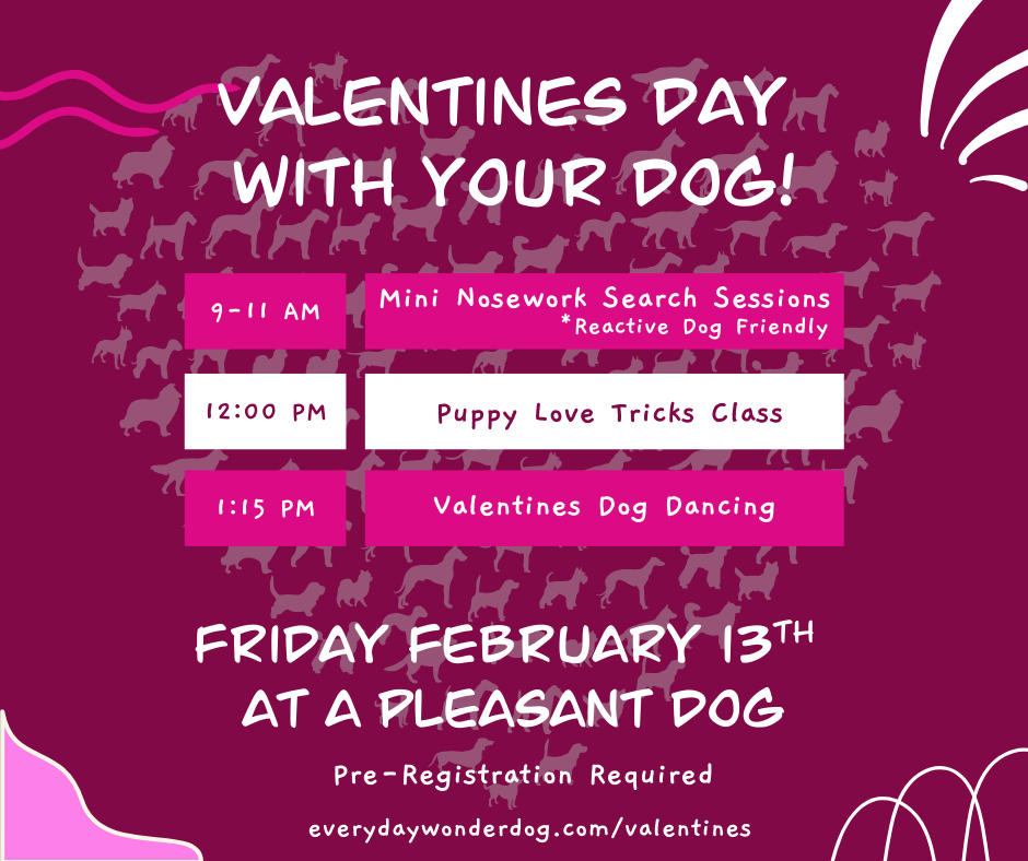 Valentine’s Day Event