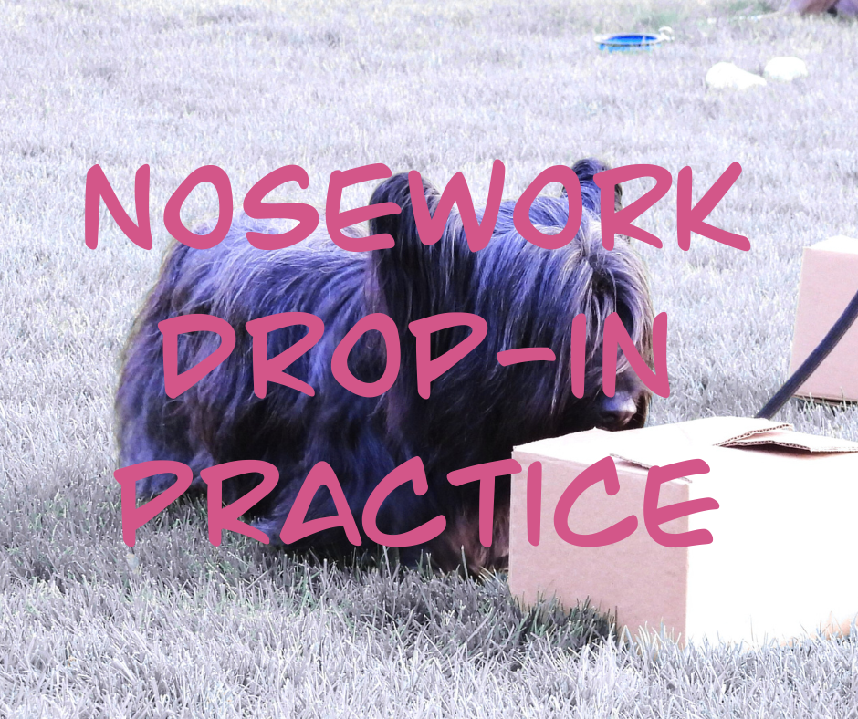 Nosework Drop In Practice dates