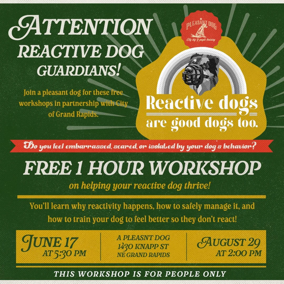 Upcoming Reactive Dogs Workshops!