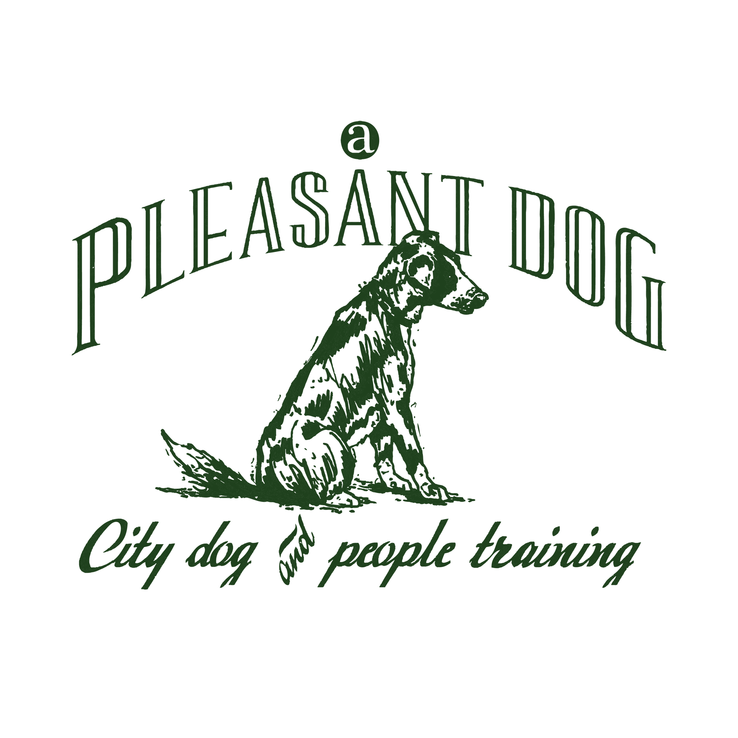 A Pleasant Dog