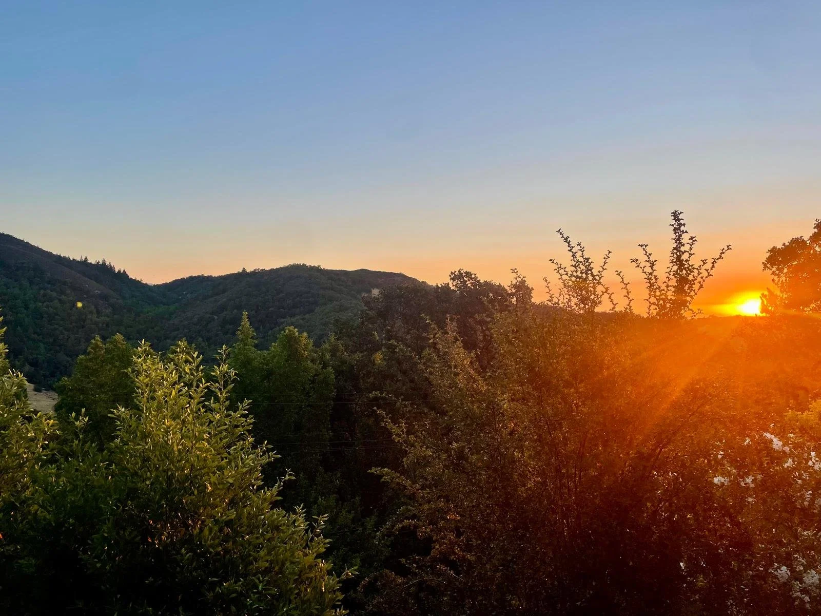 When a Marriage Feels Like Roommates: How Couples Slowly Lose Desire