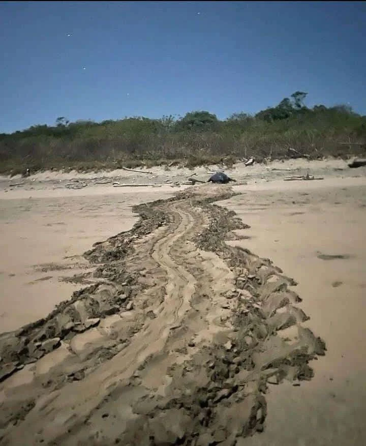 The Path To Save Your Marriage When Your Wife Says She’s Done