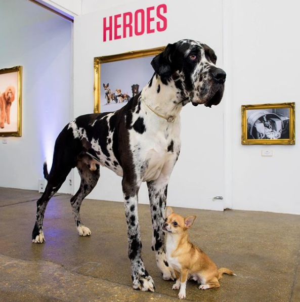 Screenshot 2020-06-15 at 23.22.45.png