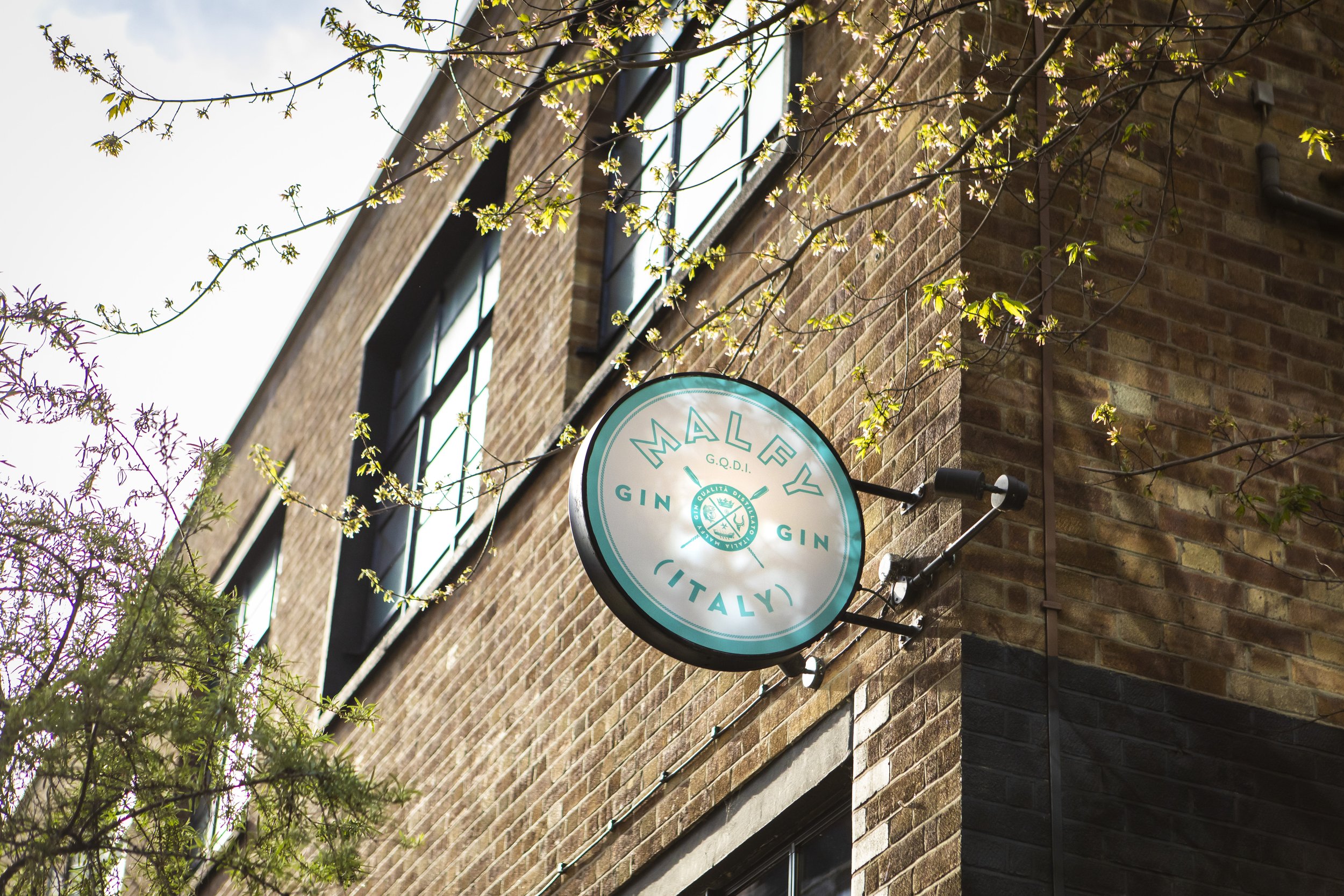 A circular sign for Male Gin in Italy attached to a brick building, with branches and leaves in the foreground and windows in the background.