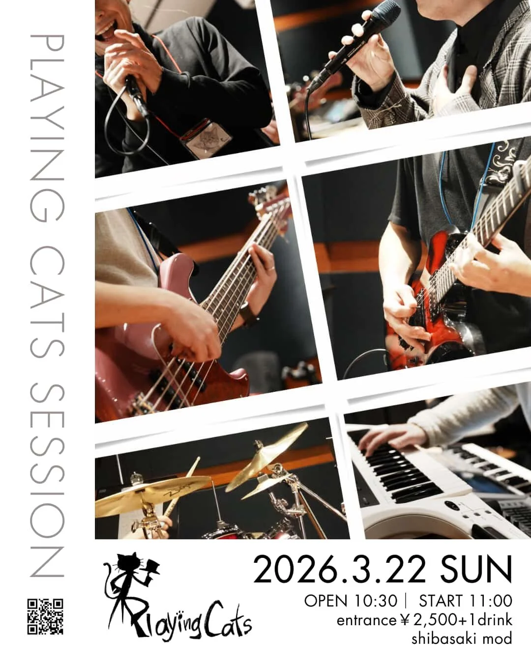Playing Cats Session vol.23