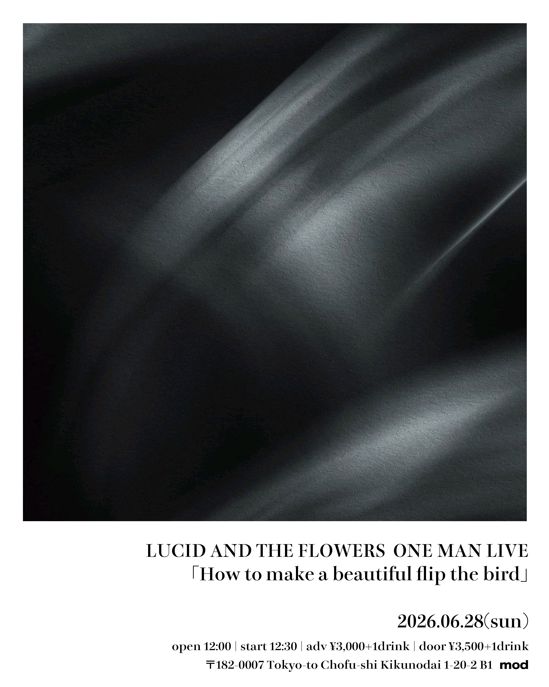 LUCID AND THE FLOWERS ONE MAN LIVE「How to make a beautiful flip the bird」