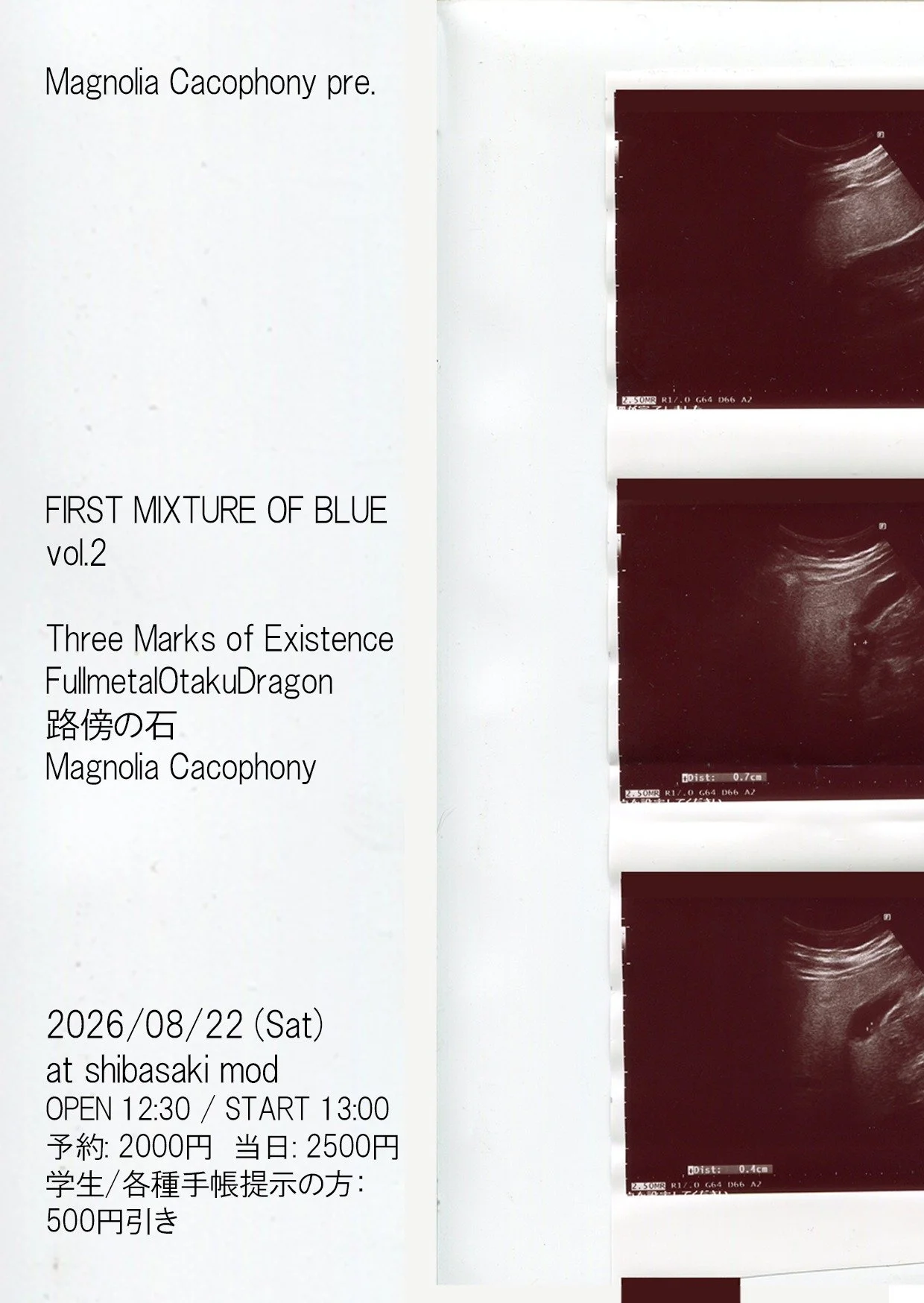 Magnolia Cacophony pre.「FIRST MIXTURE OF BLUE」vol.2