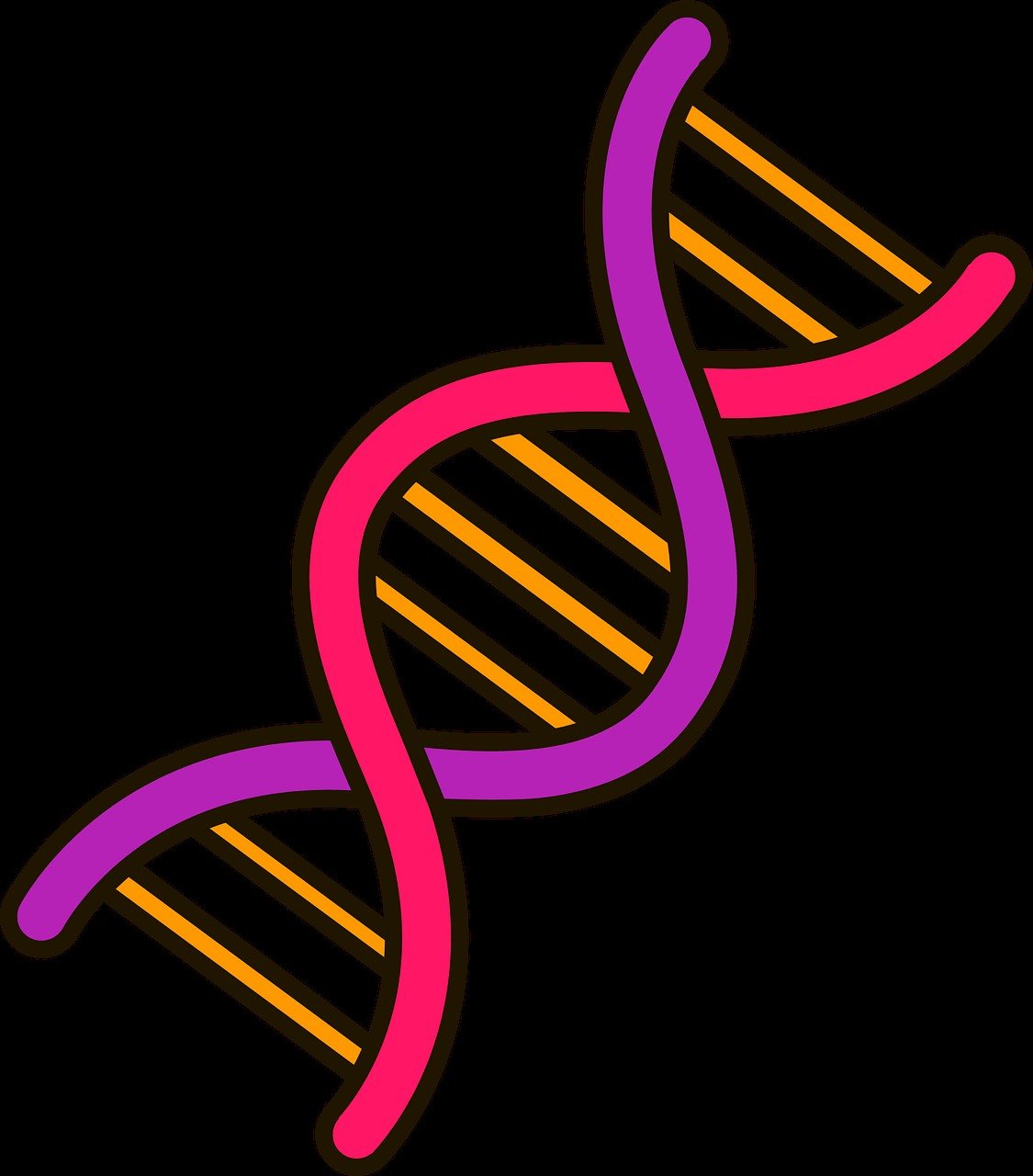 DNA Kit and Activation