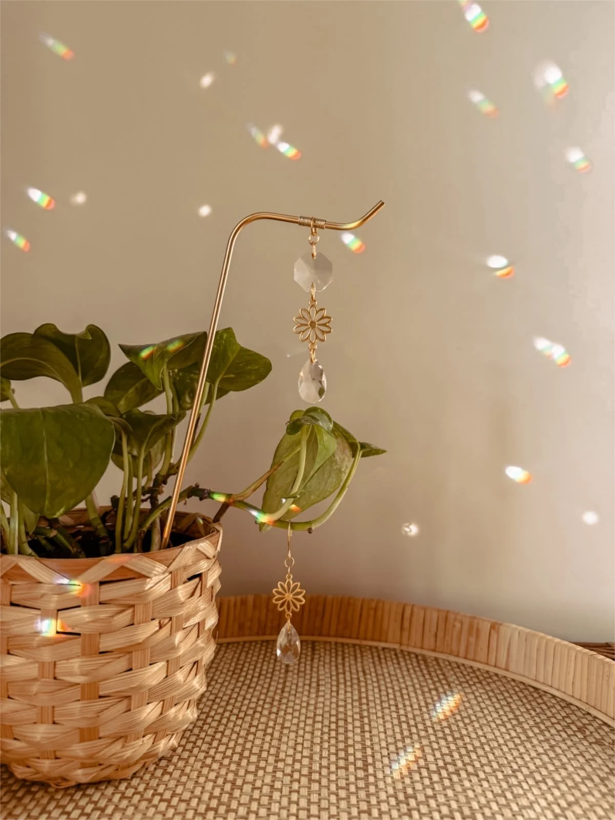 Sun Catcher DIY Night