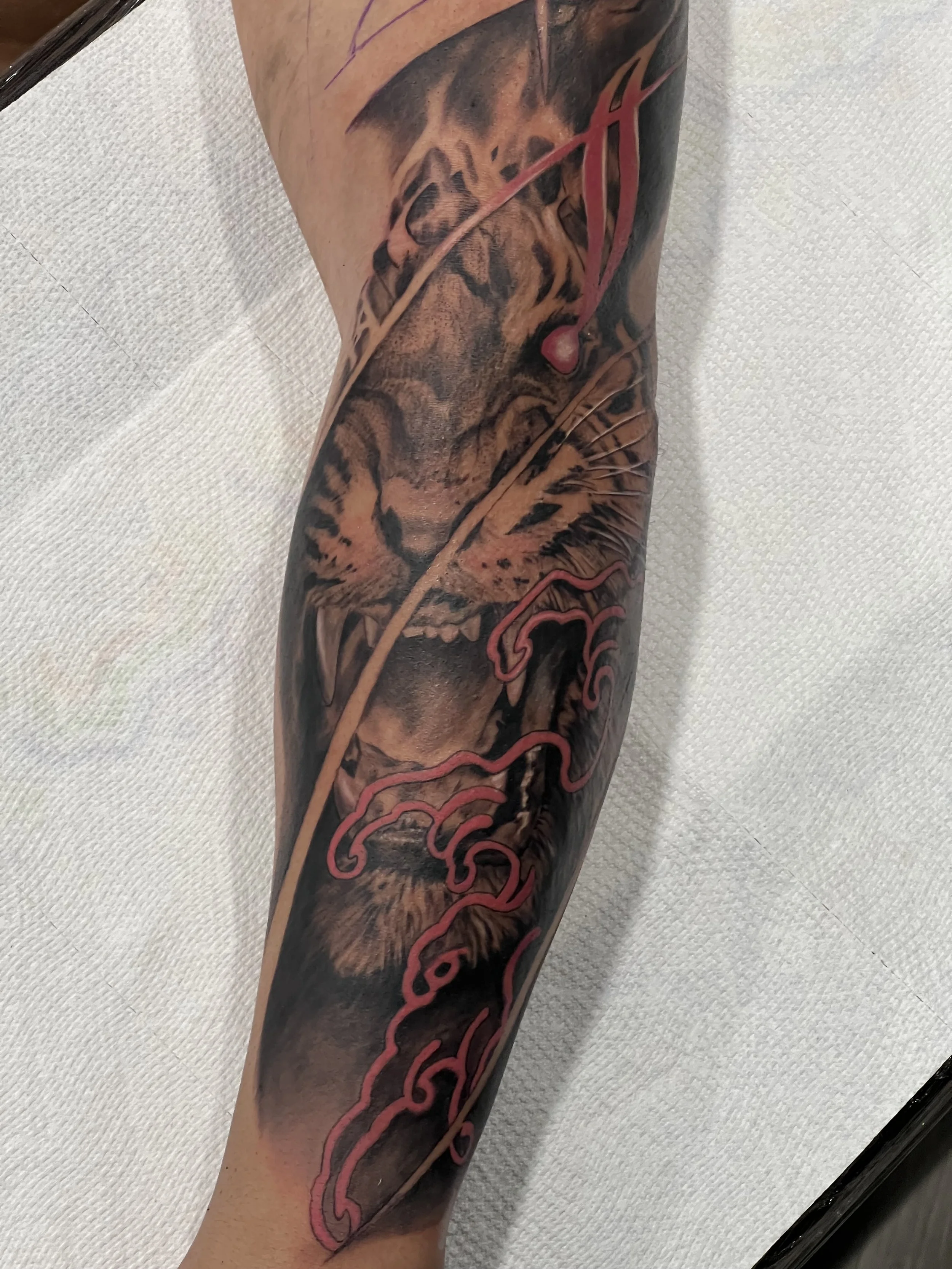 "David Bridgeman at In Bloom Tattoo in Conowingo, MD, presents a black-and-gray tiger design. With realistic shading and intricate details, this piece reflects the tiger's strength and grace, offering a bold yet refined option for those interested in