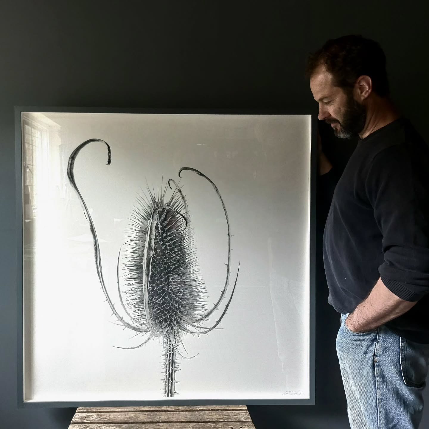 'Expansion' is framed and ready for the @societybotanicalartists Plantae 2025! This is the SBAs 40th anniversary and the exhibition promises to be a beauty.

Alongside framing my own entry, I have had the honour of framing all the overseas artists wo