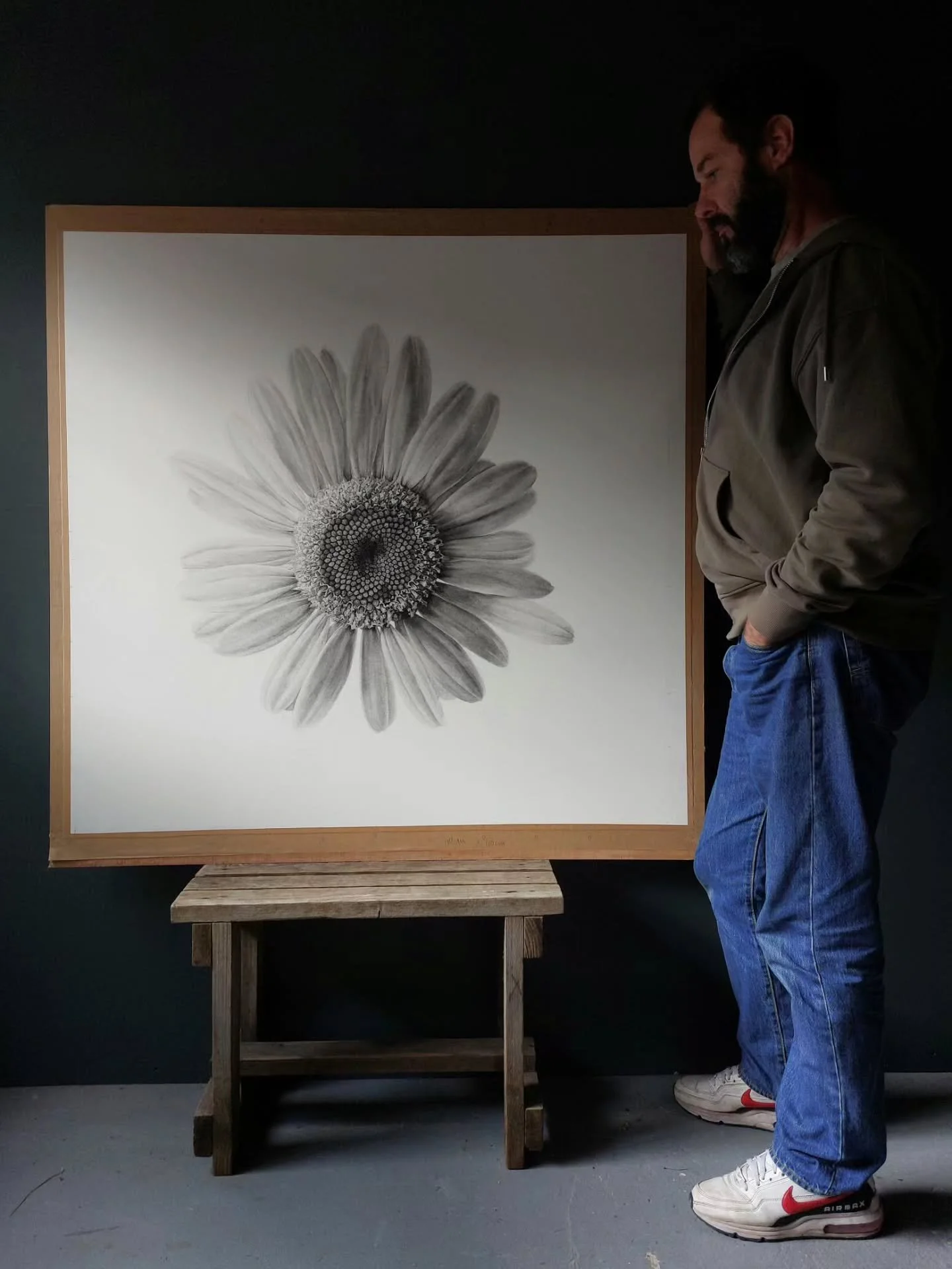 New drawing!

Supernova - Oxeye Daisy - Leucanthemum vulgare
Cont&eacute; Pierre Noire and powdered charcoal on Fabriano hot press paper
110cm &times; 110cm

Please email me for more information.

Sign up to my newsletter to get first chance to purch