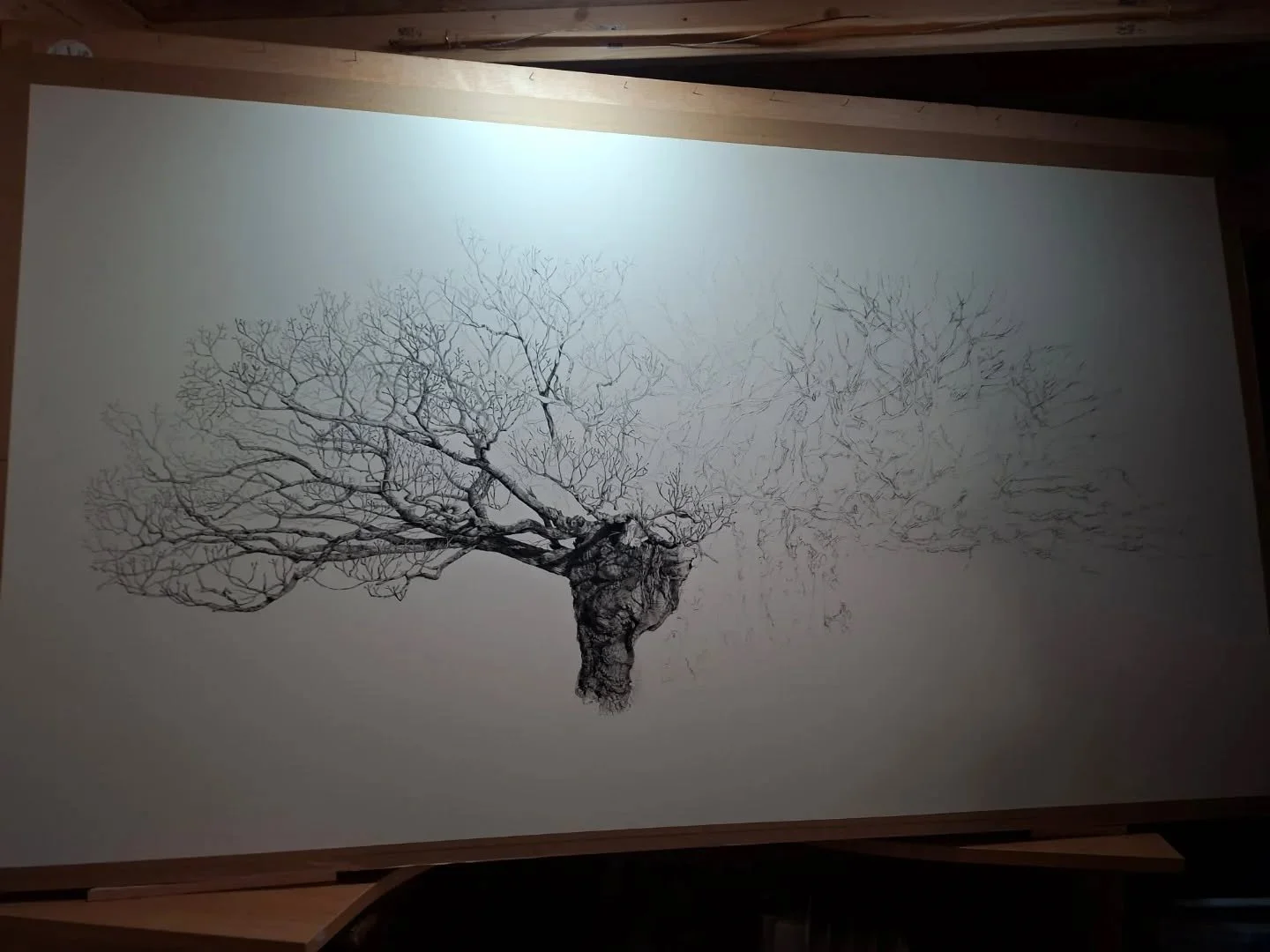 Working outward from a single point.

The left-hand canopy has settled into place now.

The drawing has started to build structure.

Queen Elizabeth Oak, Cowdray Estate, West Sussex.

#QueenElizabethOak #originaldrawing #workinprogress #contemporaryd