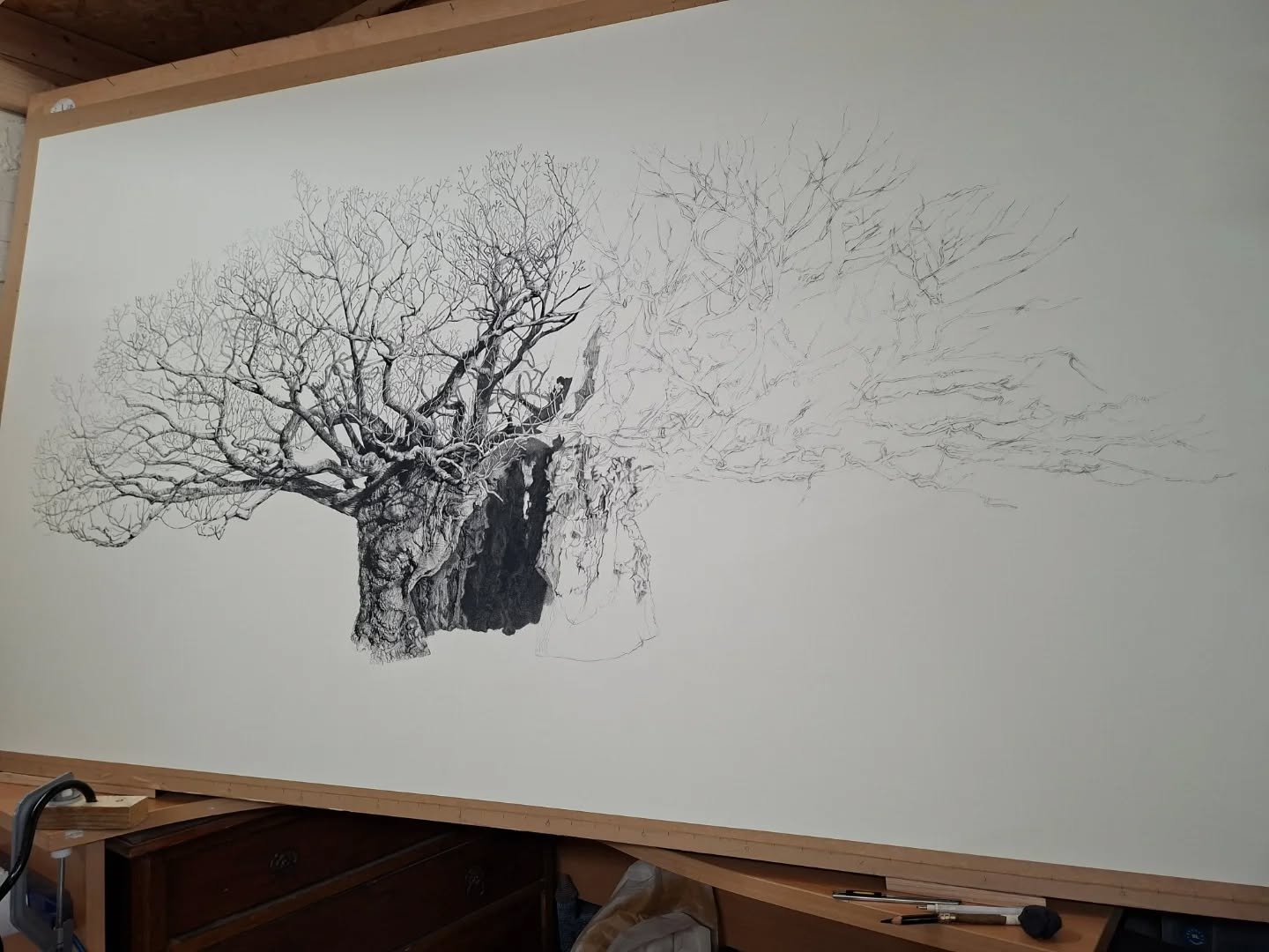 Working across the paper.

#largescaleart #artstudıo #charcoalart #treeart