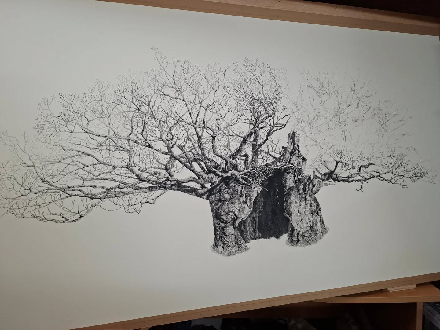 Current state of the drawing. Back into the branches for the last part.

Queen Elizabeth Oak
Cowdray Estate, Sussex

@cowdrayestate

#drawing #treeart #oaktree #artiststudio #artcollector