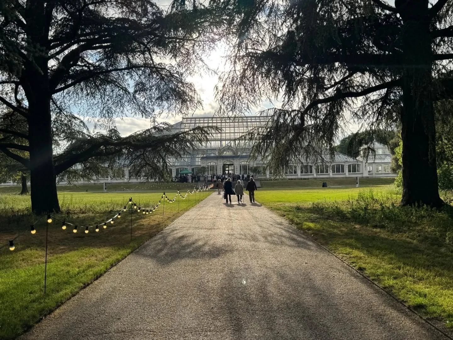 A real pinch-me momentat Kew Gardens on Wednesday evening at the private view of their latest exhibitions, Henry Moore: Monumental Nature and Monumental Botanical Art at the Shirley Sherwood Gallery.

I was deeply honoured to have my drawing Expansio