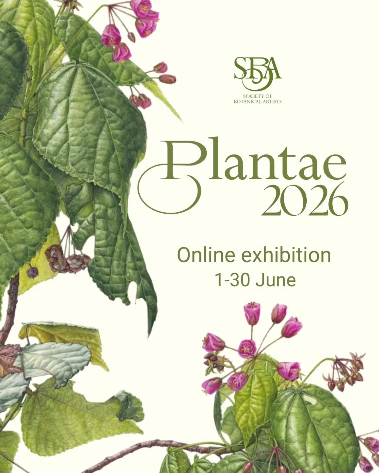 The SBA Plantae 2026 online exhibition is now open and runs to the 30th June.

I am delighted that my drawing 'Supernova' has been selected to be a part of the exhibition. You can see the exhibition by following the link in my bio.

Many thanks to th